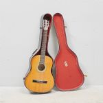 1636 4081 Gitarr